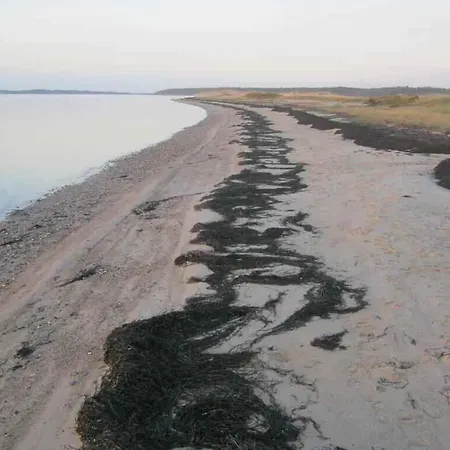 Semesterbostad Underbart På En Stor Tomt, Nära Havet